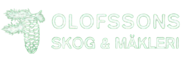 Olofssons Skog & Mäkleri
